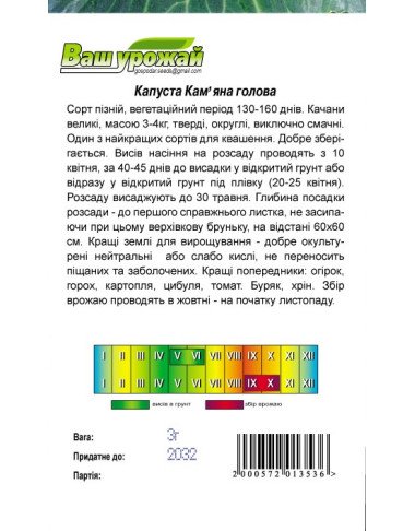 Кам'яна голова