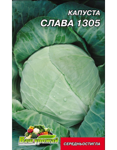 Слава 1305 