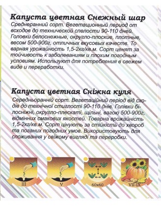 Цветная Снежный шар