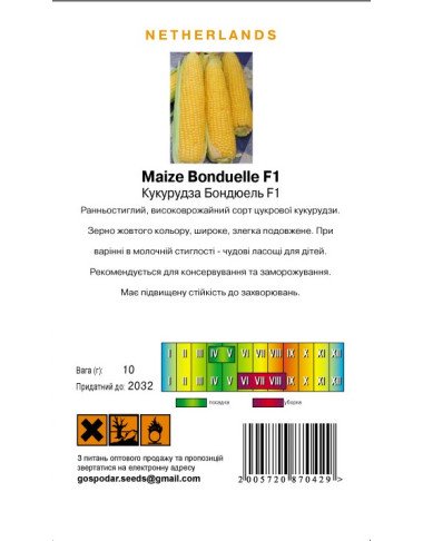 Бондюель