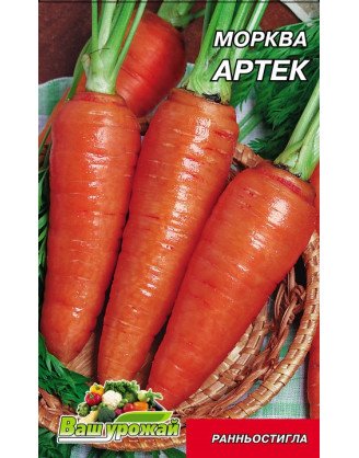 Артек