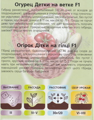 Дітки на гілці