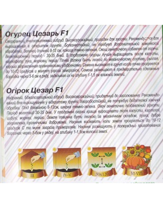 Цезарь