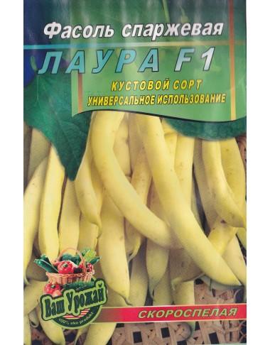 Спаржевая Лаура