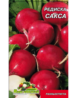 Сакса 