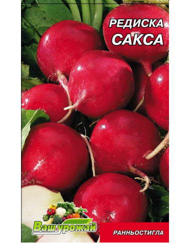 Сакса 
