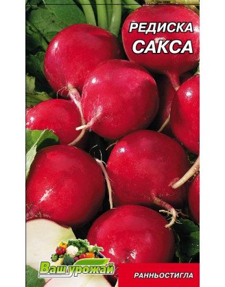 Сакса 