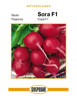 Сора (Г)