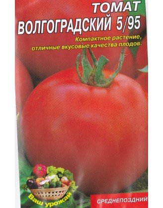 Волгоградський 5/95