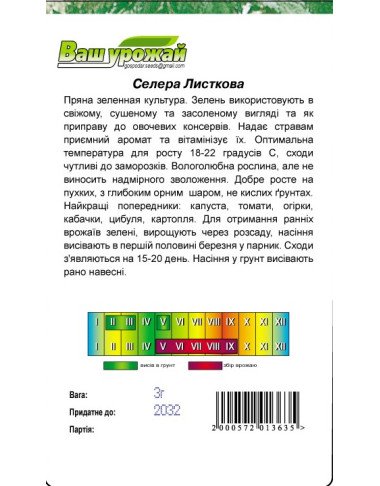 Сельдерей 