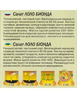Салат Лоло Біонда