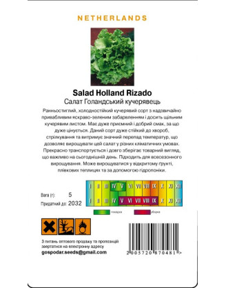 Салат Голандський кучерявець  (Г)