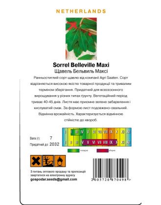 Щавель Бельвиль Максі (Г)