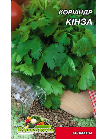 Кинза