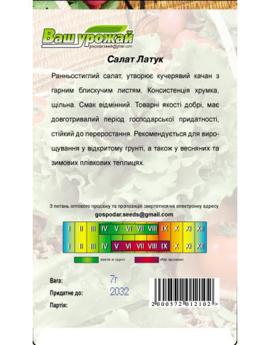 Салат Латук