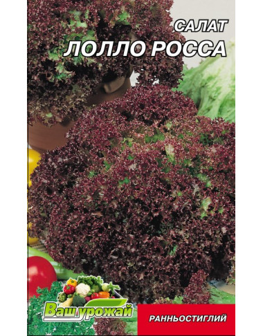 Салат Лоло Роса