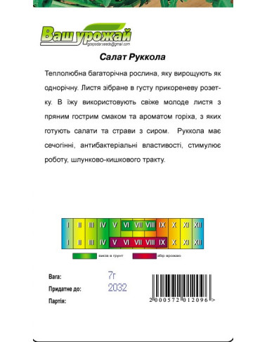 Салат  Рукола 
