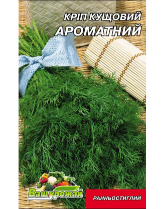 Кріп Ароматний.