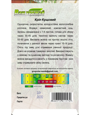 Укроп Кустовой