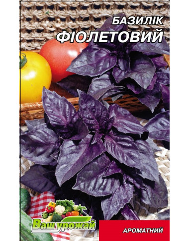 Базилік Фіолетовий