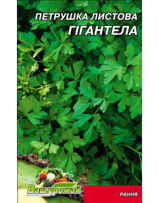 Петрушка Гигантелла