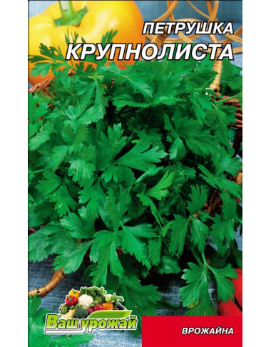 Крупнолистовая