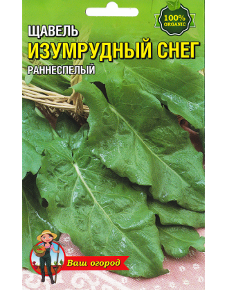 Щавель Смарагдовий сніг