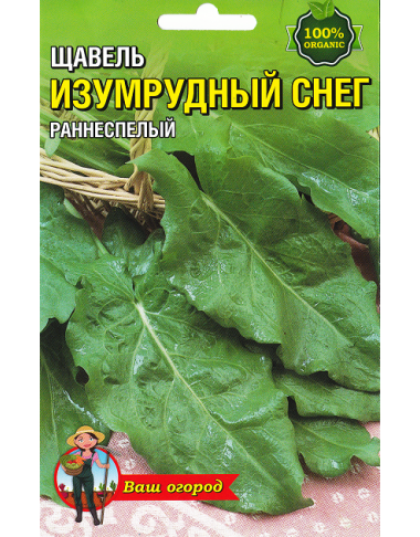 Щавель Изумрудный  снег