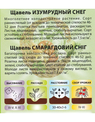 Щавель Смарагдовий сніг