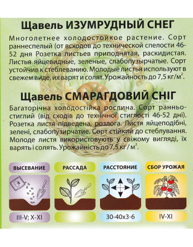 Щавель Изумрудный  снег