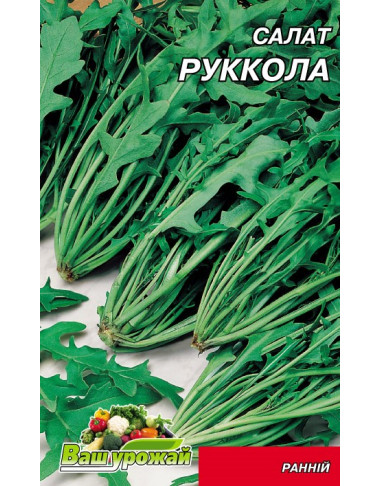 Салат  Рукола 