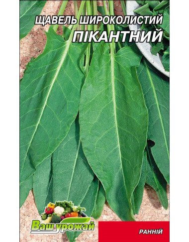 Щавель Пікантний