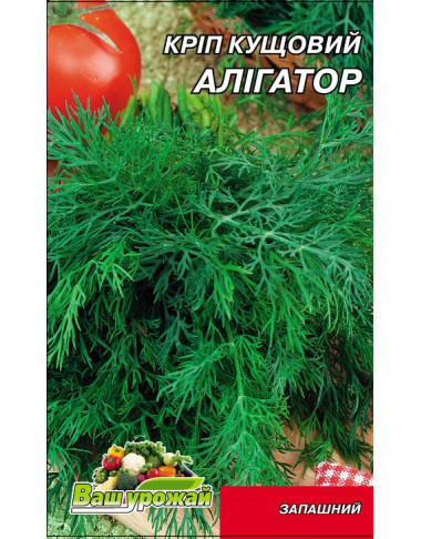 Укроп Аллигатор 