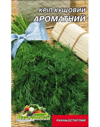 Кріп Ароматний.