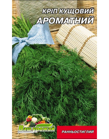 Кріп Ароматний.